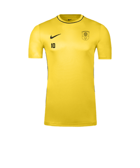 Nike Park 26 Trainingsshirt Gelb F719
