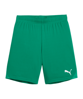 PUMA teamGOAL Short Kids Grün Weiss F05 - gruen