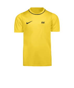 Nike Park 26 Trainingsshirt Kids Gelb F719