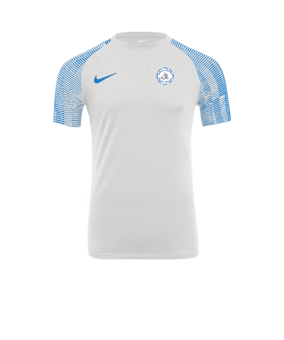 Maillot Nike Academy blanc bleu F102 