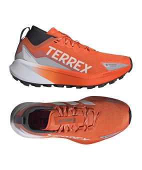 adidas Femmes Terrex Agravic GTX Chaussure de running Blanc - blanc