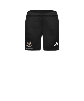 adidas Entrada 26 Short Damen Schwarz