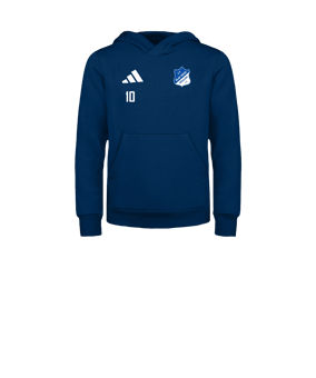 adidas Entrada 26 Hoody Kids Blau