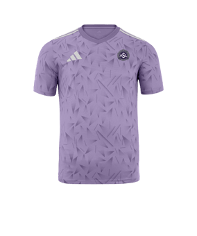 Maillot adidas équipe Icon 25 pre 