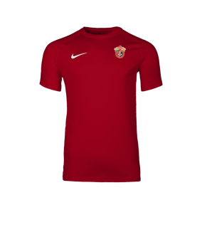 Nike Park VIII Trikot Rot F657