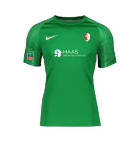 Nike Academy Trikot Grün Weiss F302