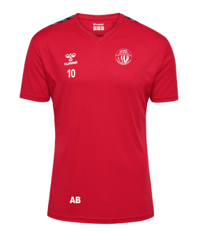 Hummel hmlAUTHENTIC PL Trikot Rot F3062