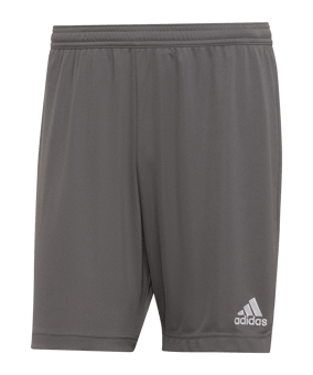 adidas Entrada 22 Short Grau - gruen