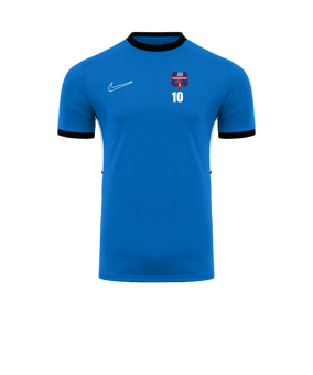 Nike Park VIII Trikot Blau F463