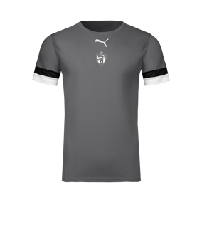 PUMA Camiseta Gris C013 