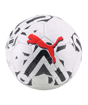PUMA Orbita 2 TB FQP Trainingsball Weiss F03 - weiss