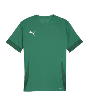 PUMA teamGOAL Matchday Trikot Grün Weiss F05 - gruen