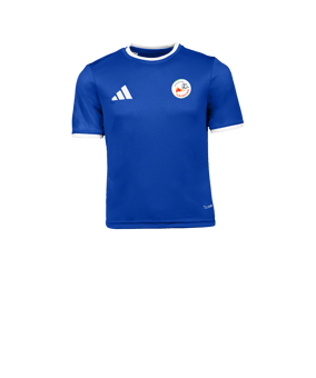 adidas Entrada 26 Camiseta Niños Azul 