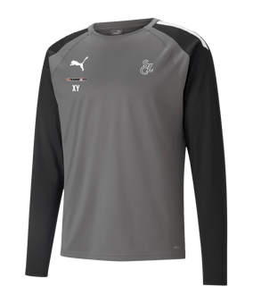 PUMA teamLIGA Trainig Sweatshirt Grau Schwarz F13