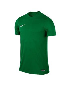 Nike Park VI Trikot kurzarm Grün F302 - gruen