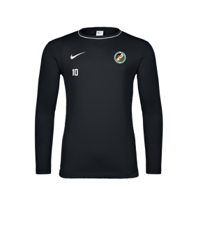 Nike Park 26 Longsleeve Schwarz F010