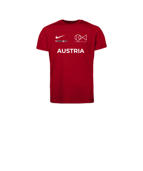 Nike Park VIII Trikot Kids Rot F657