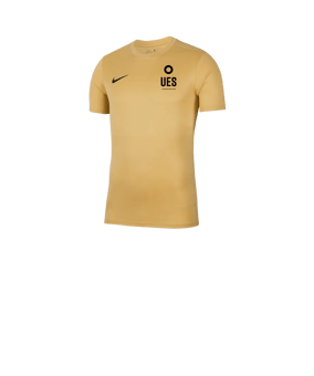 Nike Park VII Trikot Kids kurzarm Gold F729