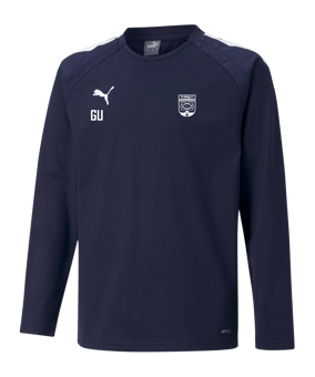 PUMA teamLIGA Sweatshirt Kids Blau F06
