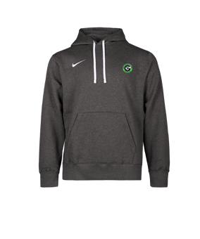 Nike Park 26 Hoody Grau F071