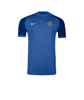 Nike Trophy VI Trikot Blau F463