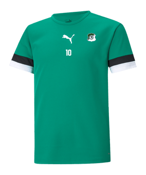 PUMA teamRISE Trikot Kids Grün F05