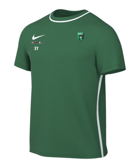 Nike Park 26 Trainingsshirt Kids Grün F302