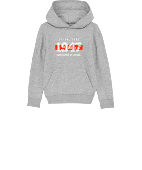 Merch Mini Cruiser 2.0 Hoody Kids H. Grey | #established