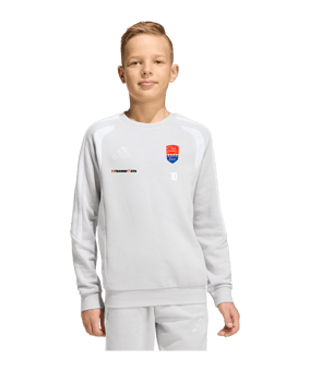 adidas Tiro 26 League Sweatshirt Kids Grau
