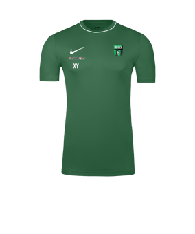 Nike Park 26 Trainingsshirt Grün F302