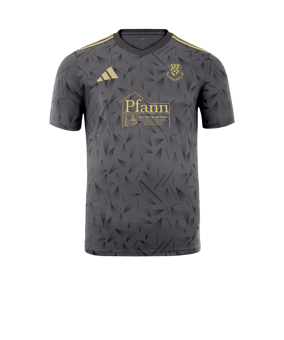 adidas Team Icon 25 Trikot Schwarz Gold