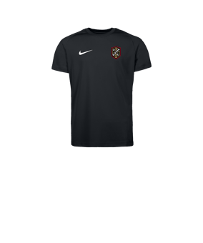 Nike Park VIII Trikot Kids Schwarz F010