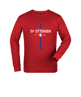 Merch Roller Sweatshirt Red | #revolution