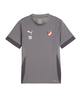 PUMA teamGOAL Matchday Trikot Kids Grau Weiss F13