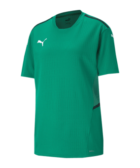 PUMA teamCUP Trikot Kids Grün F05 - gruen