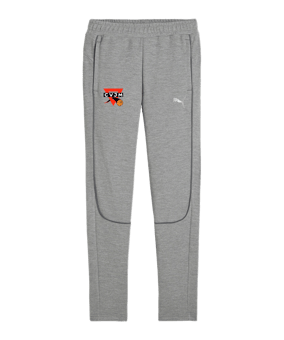 PUMA teamFINAL Casuals Jogginghose Grau F33
