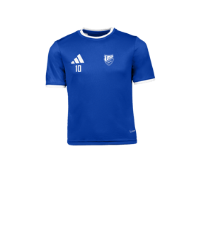 adidas Entrada 26 Trikot Kids Blau