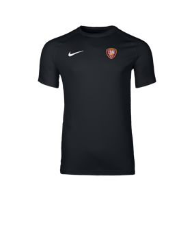 Nike Park VIII Maillot Noir C010