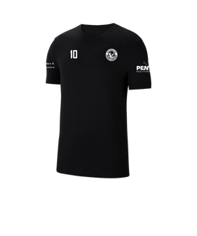 Nike Park 20 T-Shirt Schwarz Weiss F010