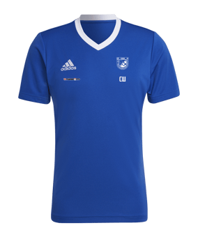 adidas Entrada 22 Trikot Blau Weiss
