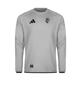 FC - adidas Tiro Travel Sweatshirt Grau