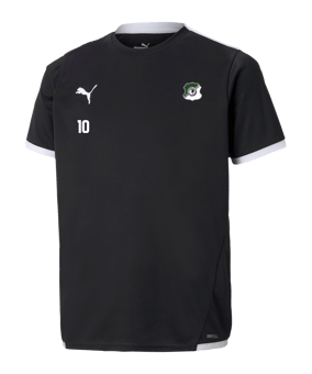 PUMA teamLIGA Trikot Kids Schwarz F03