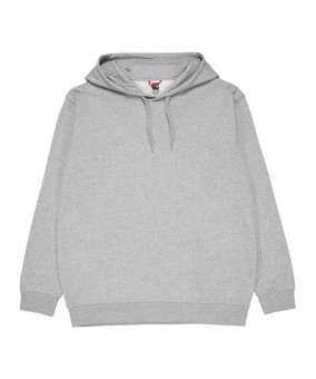 The North Face Oversized Hoody Grau - grau