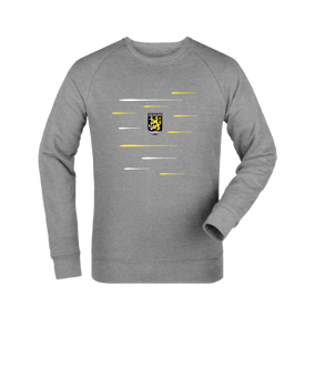Merch Roller Sweatshirt Heather Grey | #lines