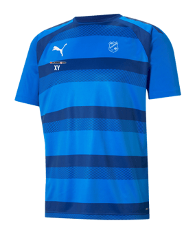 PUMA teamVISION Trikot Blau F02