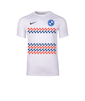 Nike Park VIII Trikot Weiß F100