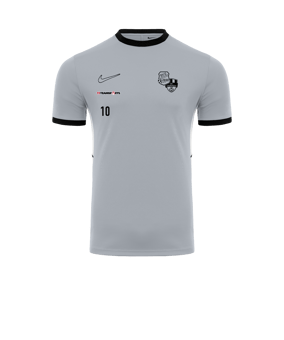 Nike Academy 25 Trainingsshirt Grau F012