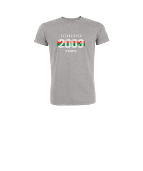 Merch Mini Creator 2.0 T-Shirt Kids Heather Grey | #established
