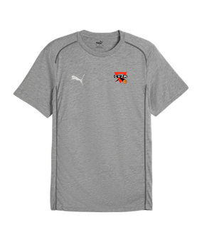 PUMA teamFINAL Casuals T-Shirt Grau F33