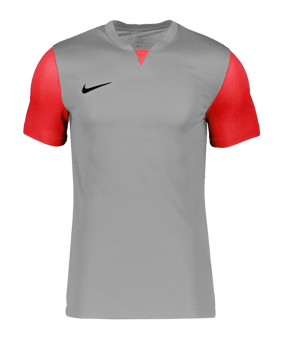 Nike Trophy V Trikot Grau F052 - grau